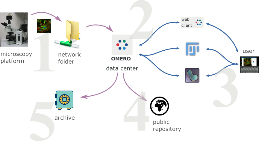 data_life
